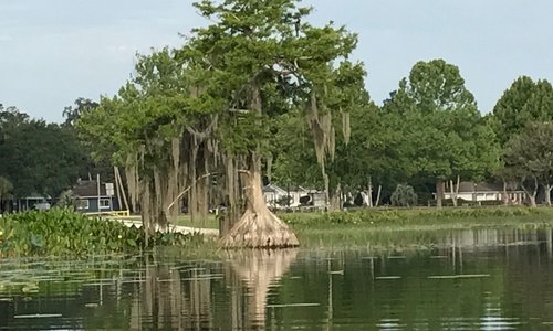 mardi gras in leesburg florida