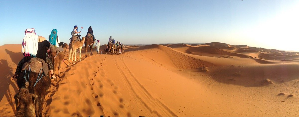 Marrakech Tours Trips - All You Need to Know BEFORE You Go