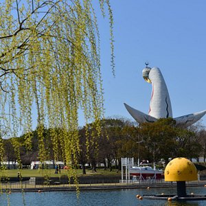 Lake Umeda - Must-See, Access, Hours & Price