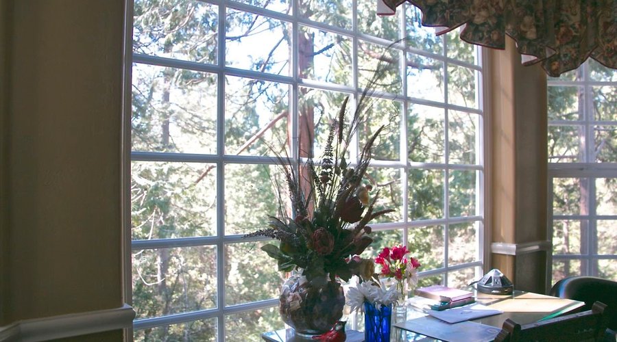 Forest view, Mocha room