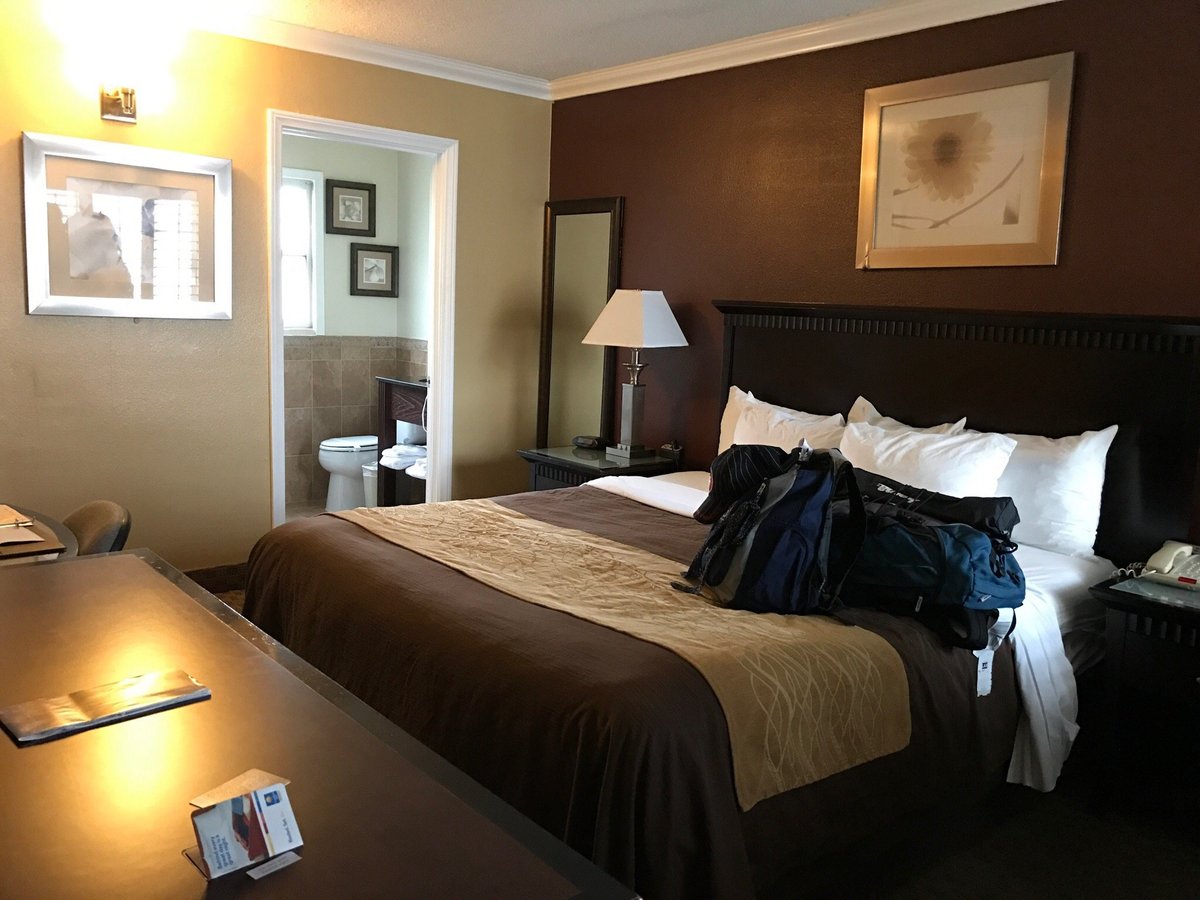 Excellent location in Hollywood for tourists - Review of Days Inn by Wyndham Hollywood Near Universal Studios, Los Angeles, CA... 