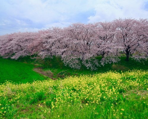 21年 吉見町で絶対外さないおすすめ観光スポットトップ10 定番から穴場まで トリップアドバイザー