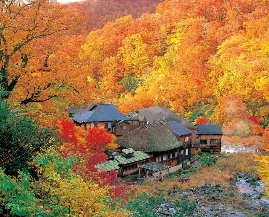 KUROYU ONSEN: Reviews (Japan/Akita Prefecture) - Photos of Onsen Ryokan