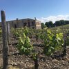 Things To Do in Bordeaux to Medoc & Saint Emilion Wine Tasting / Sightseeing Tour, Restaurants in Bordeaux to Medoc & Saint Emilion Wine Tasting / Sightseeing Tour