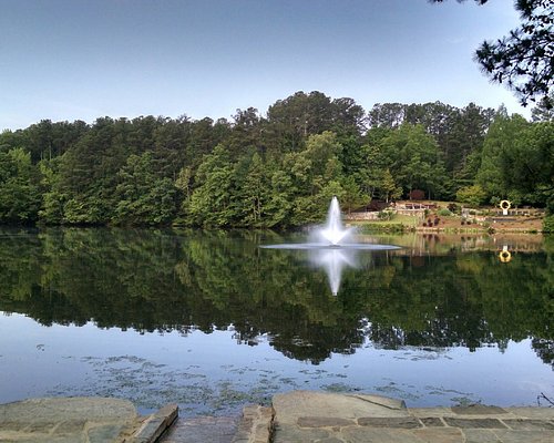 11 Best Parks in Atlanta for Picnicking and Dog Parks