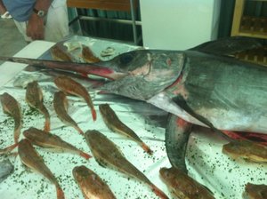Ristorazione