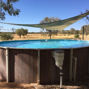 Hale River Homestead