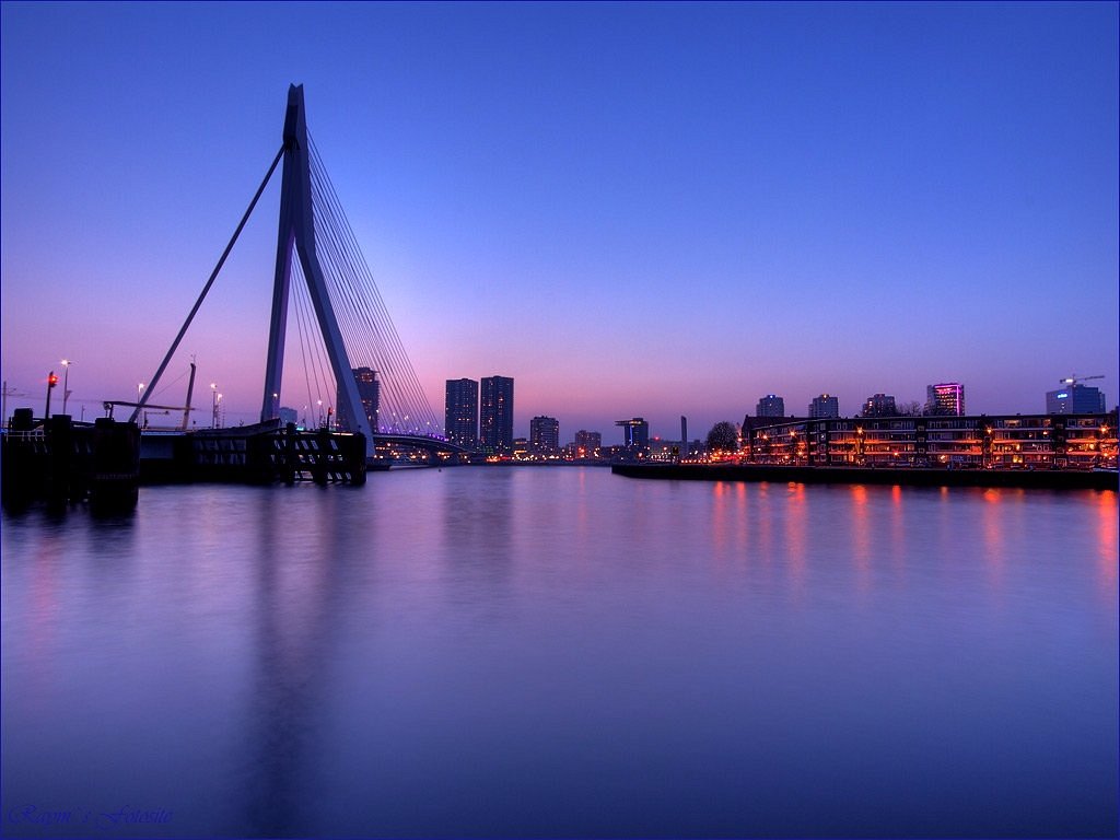 Recreatie marionet Varken Erasmus Bridge (Rotterdam) - All You Need to Know BEFORE You Go