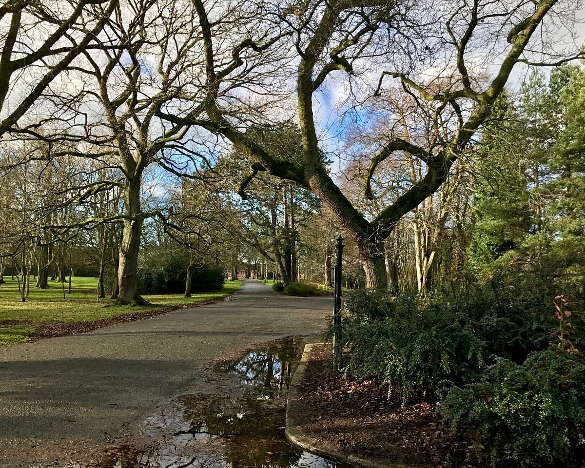 ORMEAU PARK (2024) All You Need to Know BEFORE You Go (with Photos)