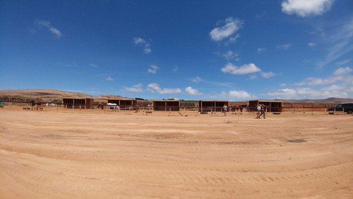 Imagen 4 de Horses Lanzarote