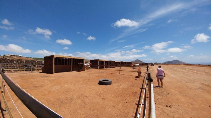 Imagen 6 de Horses Lanzarote