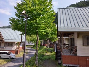 旅行者の写真