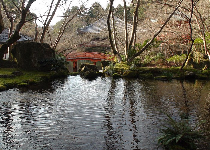 21年日本福知山市的旅游景点 旅游指南 行程 Tripadvisor 21年日本福知山市的旅游景点 旅游指南 行程 Tripadvisor