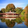 Things To Do in Woburn Abbey and Gardens, Restaurants in Woburn Abbey and Gardens