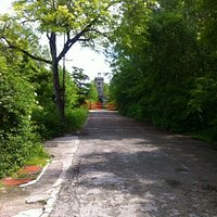 Viale d'ingresso . . .