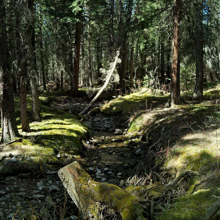 Escape To Serenity: Uncovering The Charms Of Bridge Flat Campground