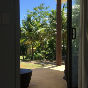 View from the living room.