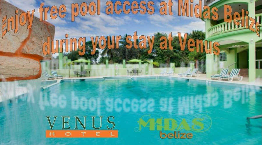 Free pool access at Midas Belize when you stay at Venus, only a 7 minute walk away