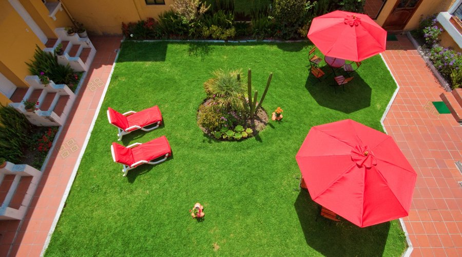 Jardin