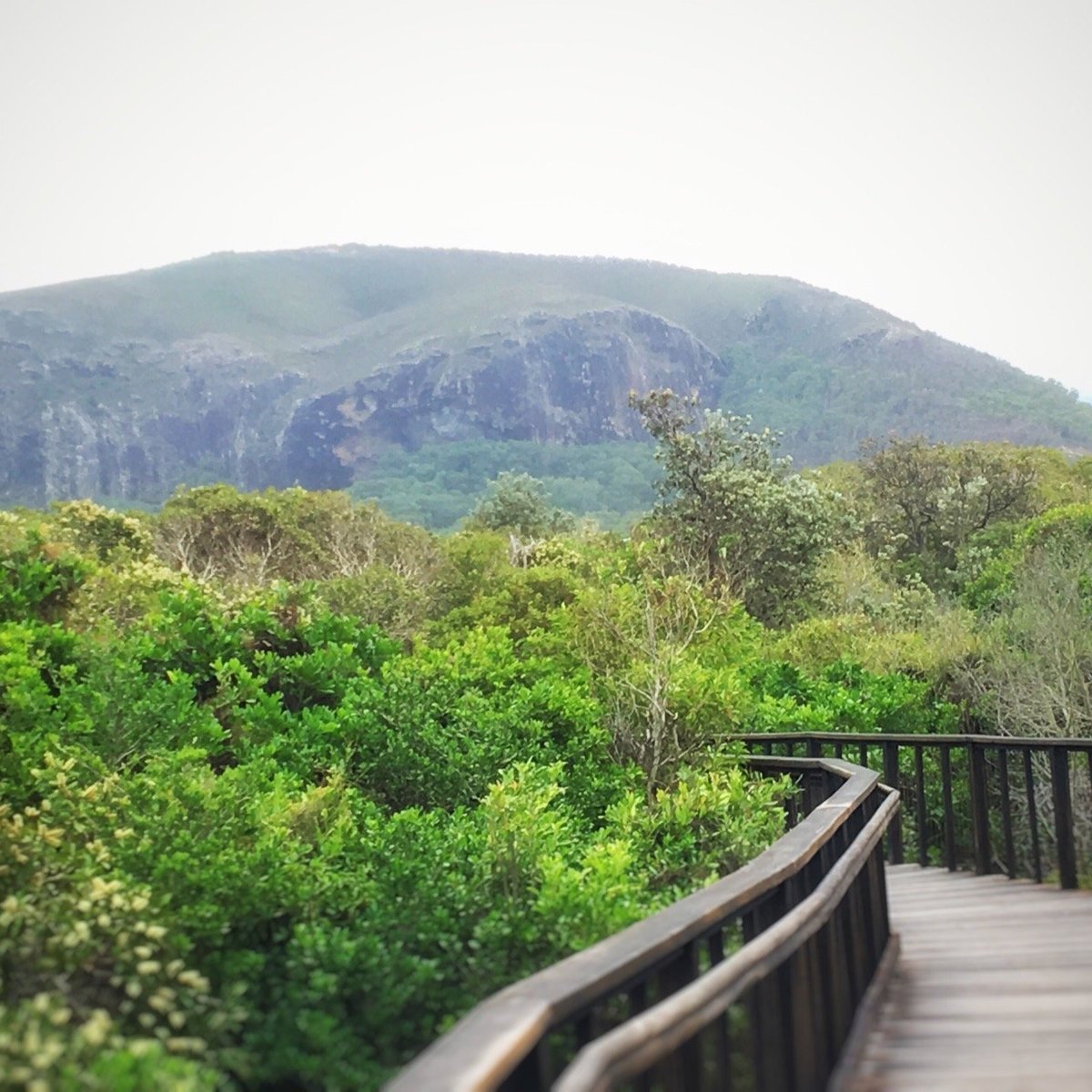 Mount Coolum (Coolum Beach): All You Need to Know