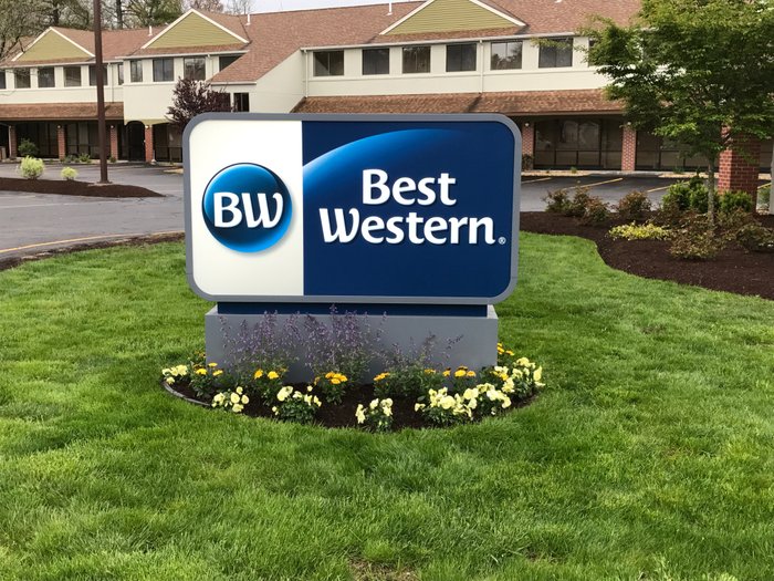 Best Western Tripadvisor : Unveiling the Top-Rated Stays