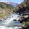 Things To Do in Trans Himalayan Tours, Restaurants in Trans Himalayan Tours