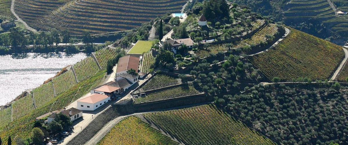 Vista Panorâmica da Quinta do Crasto