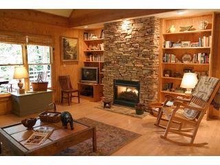 Pinecone's gas fireplace in Living Room.