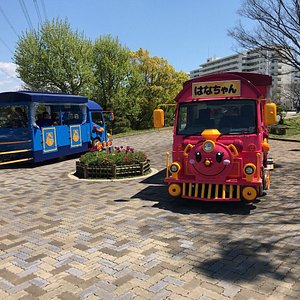 21年 江戸川区で絶対外さないおすすめ観光スポットトップ10 定番から穴場まで トリップアドバイザー