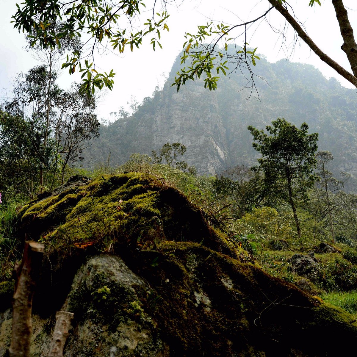 Parque Natural Los Tunos (San Antonio del Tequendama) - All You Need to ...