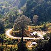 Things To Do in Tribal Tour To Tawang, Arunachal Pradesh - Tribal Villages, Monasteries and more, Restaurants in Tribal Tour To Tawang, Arunachal Pradesh - Tribal Villages, Monasteries and more