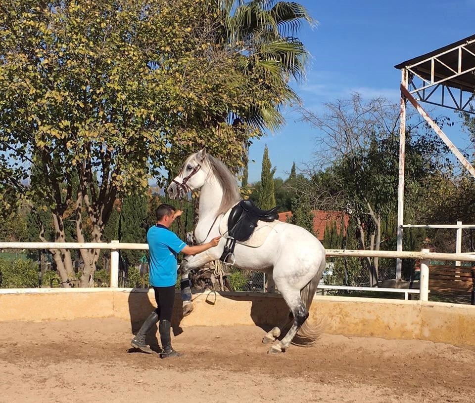 CENTRO ECUESTRE VÍCTOR LÓPEZ (Alhaurín de la Torre) - Qué SABER antes de ir