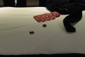 旅行者の写真