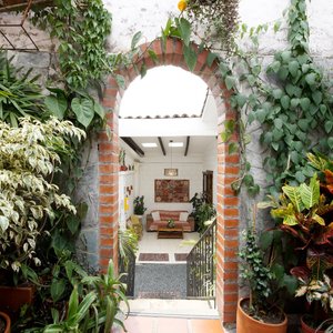 Patio Trasero