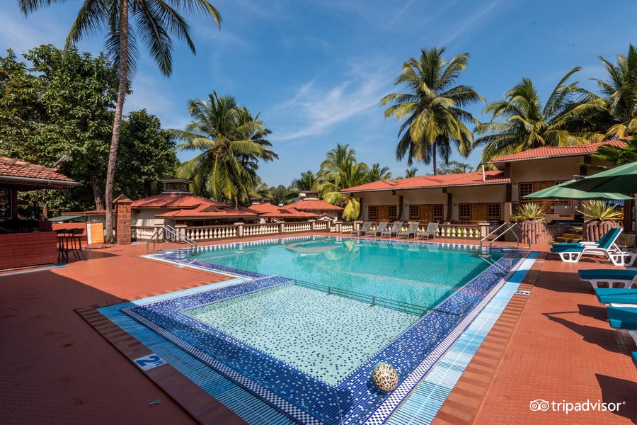 leoney-resort-goa-vagator-resort-reviews-photos-rate-comparison