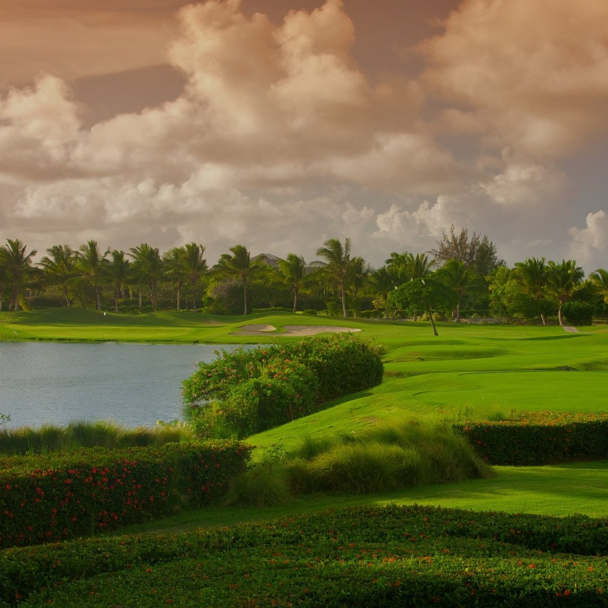 COCOTAL GOLF & COUNTRY CLUB (Punta Cana) 2023 What to Know BEFORE You Go