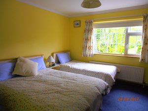 Room & Suite