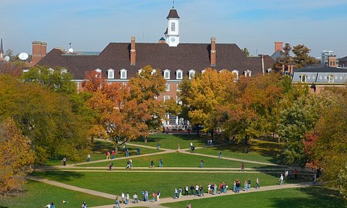 Request a "Quad View" room to enjoy one of the U of I's prized features - the Main Quad