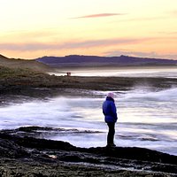 The Northumberland Coast AONB covers 135 sq kms between Berwick and the Coquet estuary.