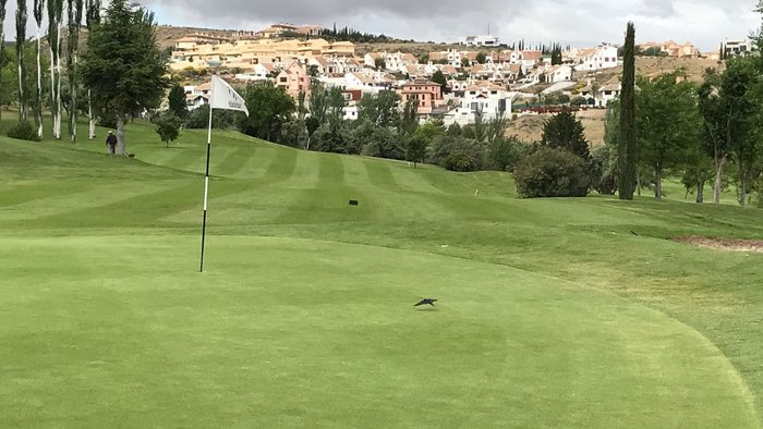 Imagen 3 de Granada Club de Golf