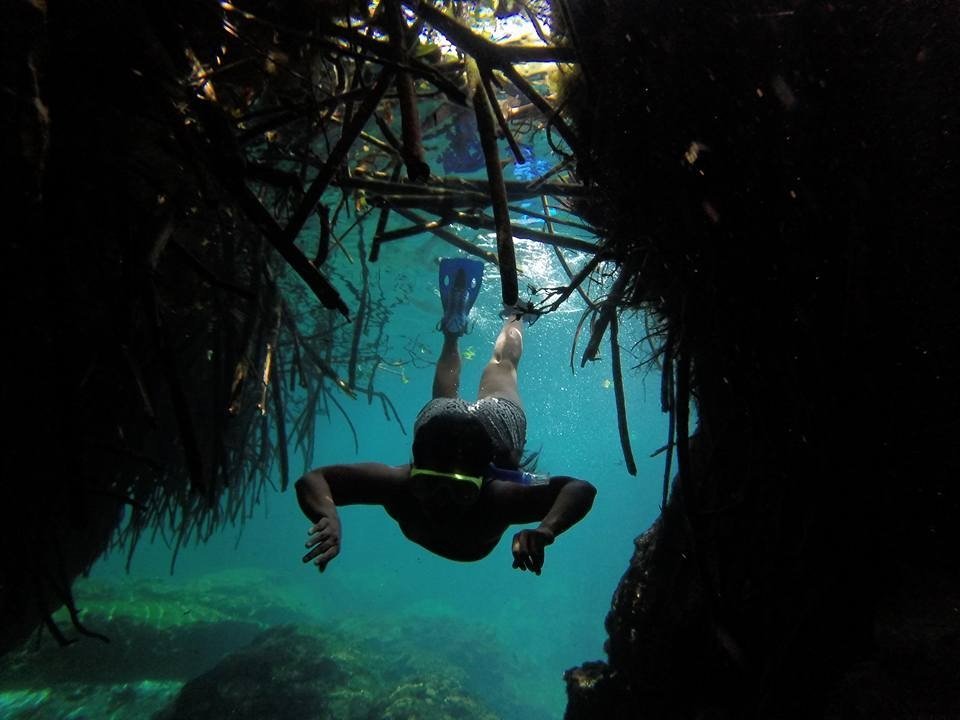 manati divers tulum