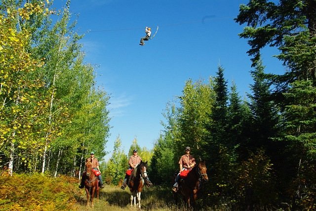 https://dynamic-media-cdn.tripadvisor.com/media/photo-o/0f/50/1d/d5/towering-pines-canopy.jpg?w=700&h=-1&s=1