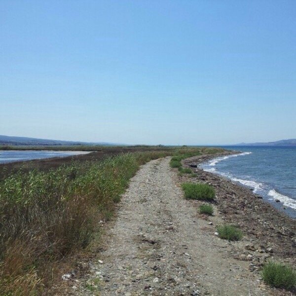 Canakkale, Turquia - 16 De Junho De 2019: Cavalo De Troia Foto