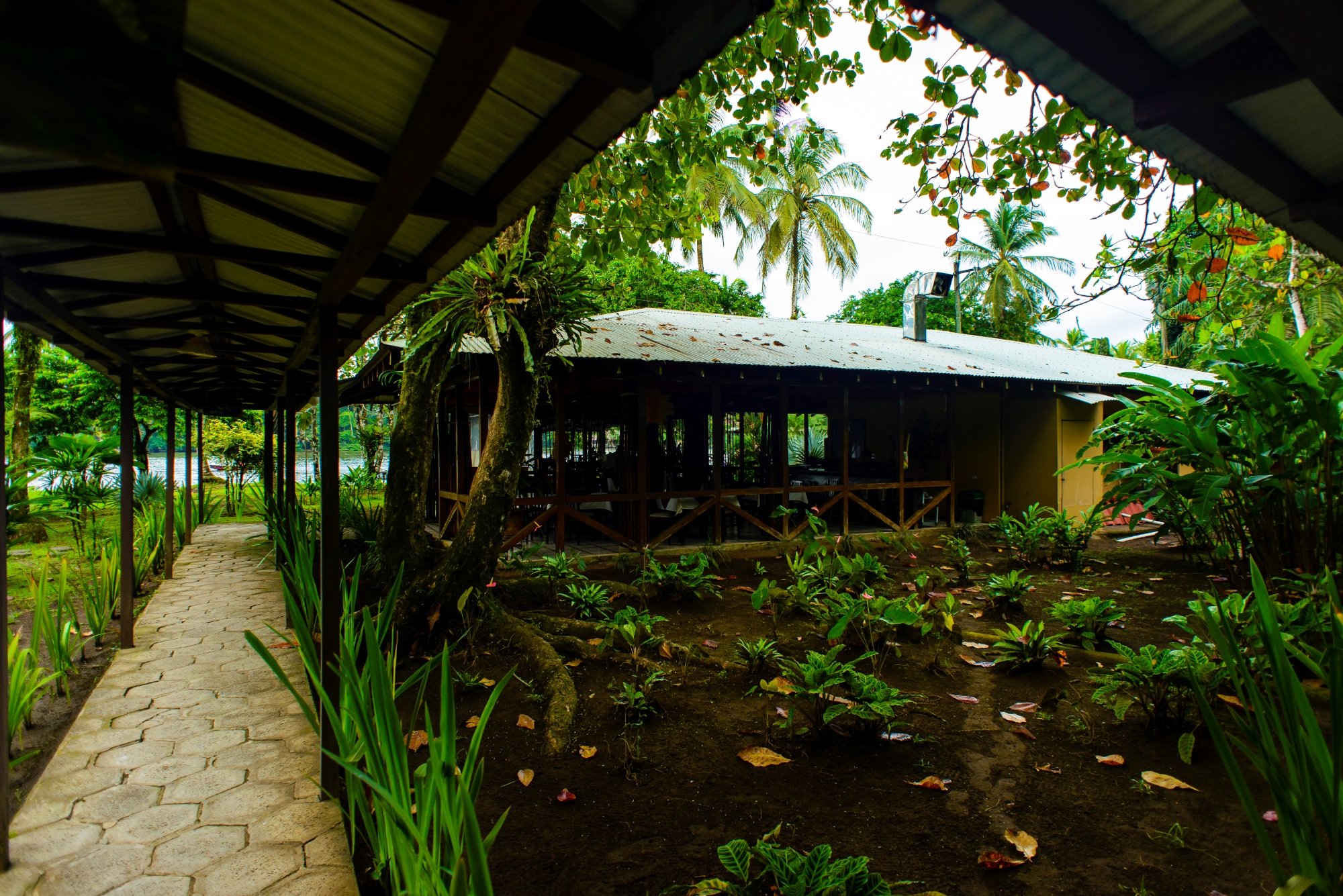 Hotel photo 8 of Manatus Hotel.