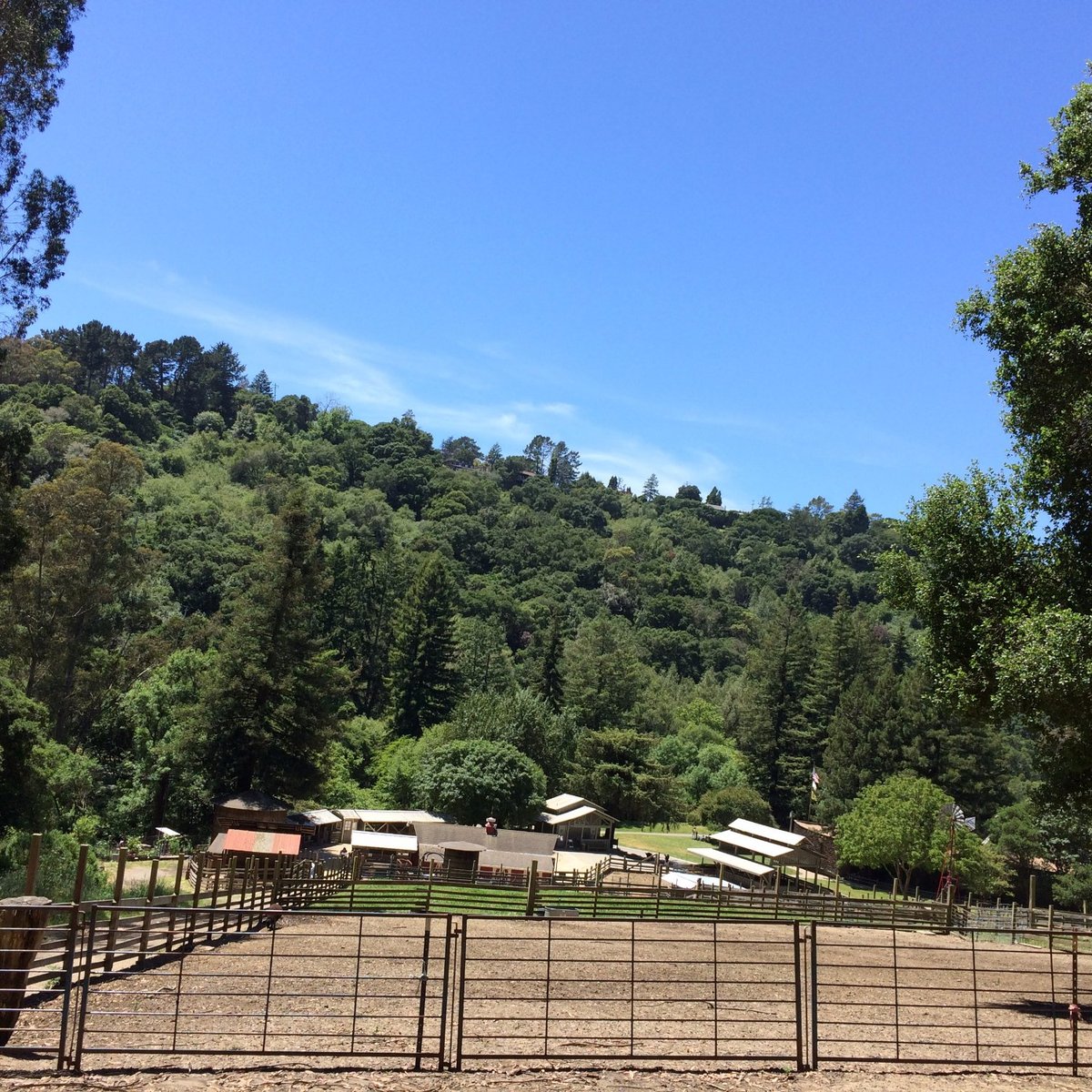 Tilden park little farm berkeley 2022 lohnt es sich mit fotos 