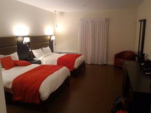 Room & Suite