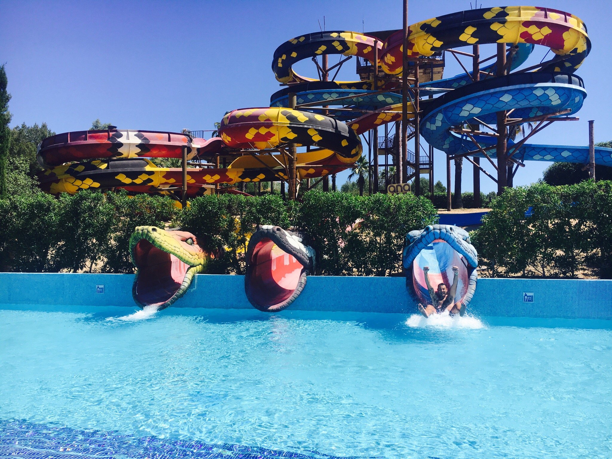 Aqualand El Arenal All You Need to Know BEFORE You Go 2024