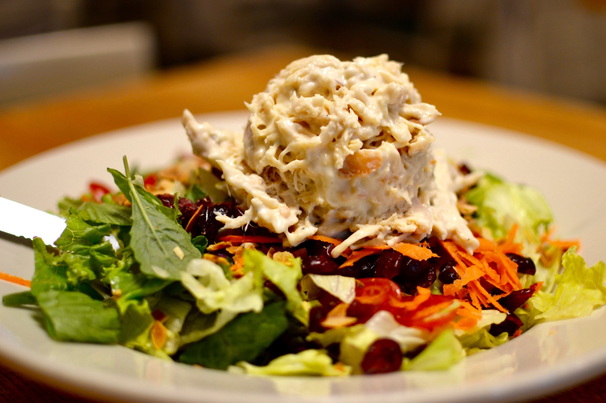 THE 10 BEST Restaurants In Falls Church Updated April 2024   Watergate Chicken Salad 