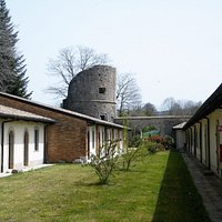 Museum Certosa