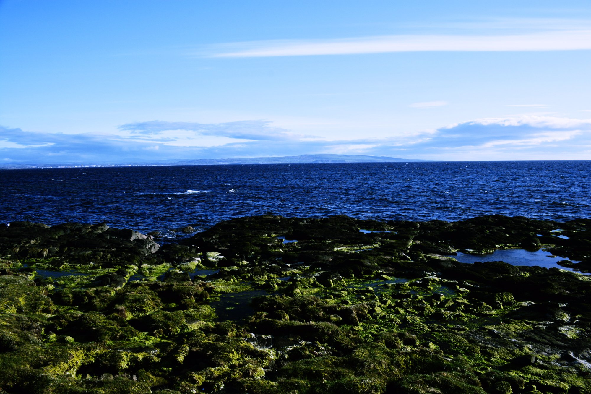 Ayr Harbour - Alles Wat U Moet Weten VOORDAT Je Gaat (met Foto's ...